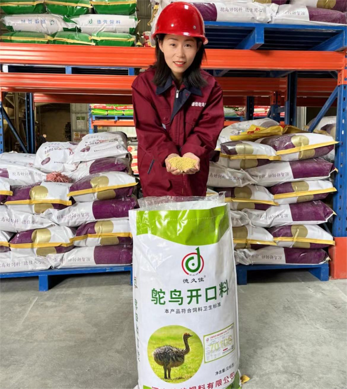 創(chuàng)新領(lǐng)先的河南德佳7010S飼料，讓您的小鴕鳥健康成長無憂慮！